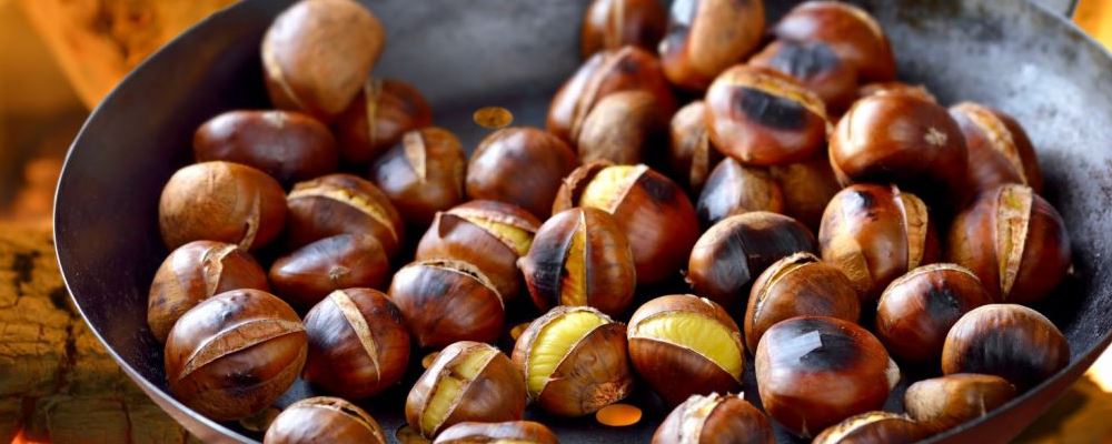 推荐不起眼的“坚果”养生法，你不可不知