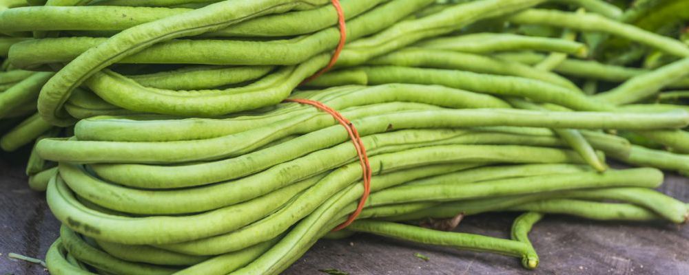 美容养生视角下豇豆的食疗功效大揭秘