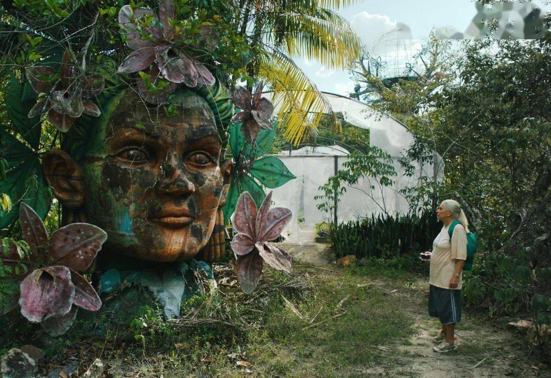 资深影迷私藏！北影节最值得看的电影错过再等一整年