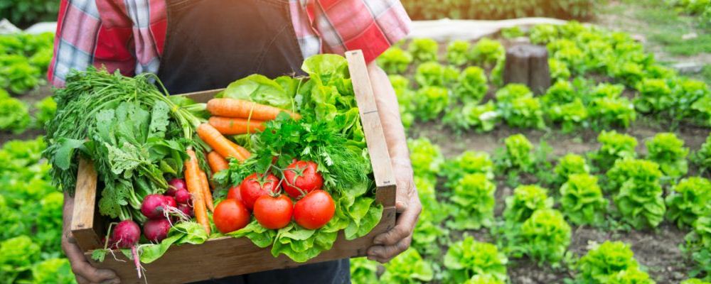 空气不佳毒素多，吃美食可助排毒啦