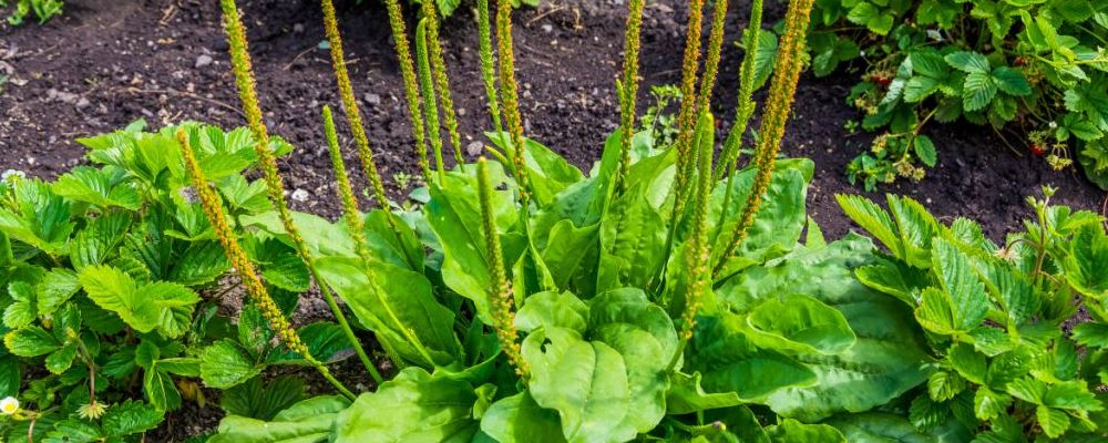 老是浑身没劲？这些疾病可能是背后“元凶”！