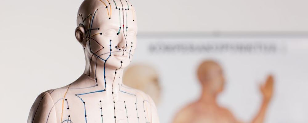 人体各部位阴阳属性：上部阳下部阴，详解呈现