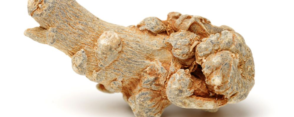 三七粉能否长期吃？功效及误区需知晓