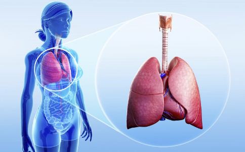 春季忽冷忽热易伤肺，教你如何有效养肺