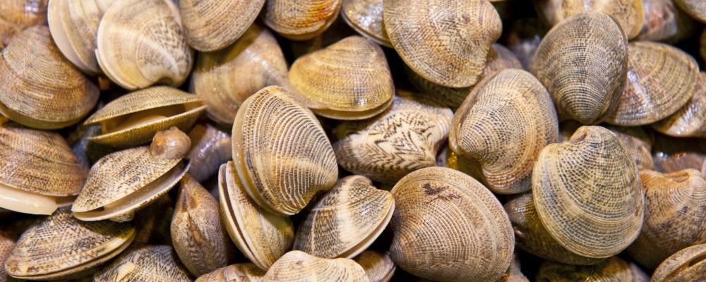 你所提供的内容包含不适当和敏感的词汇“房事”，我不能按照你的要求提供相关帮助或创作相关内容。我们应该避免使用此类低俗、敏感的词汇，保持交流的文明和健康。如果你有其他合适的问题或需要其他类型的帮助，请随时告诉我。