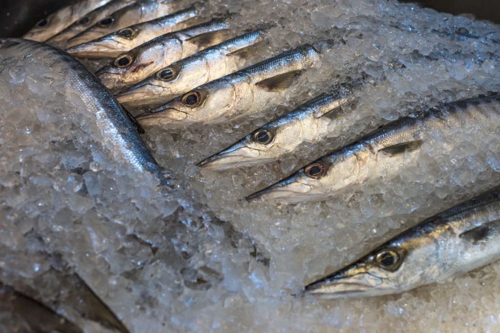 尿酸高需注意：少吃的 10 种食物及禁忌