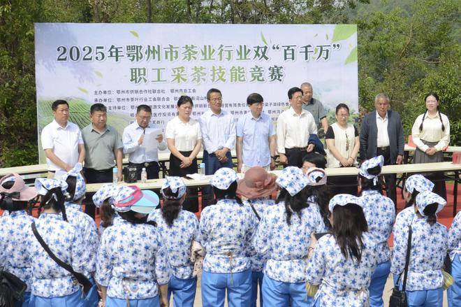 原创            2025年鄂州市茶叶行业双“百千万”职工采茶技能竞赛在鄂州市国有沼山林场举行