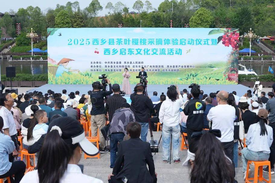 2025西乡茶叶樱桃采摘体验活动启动