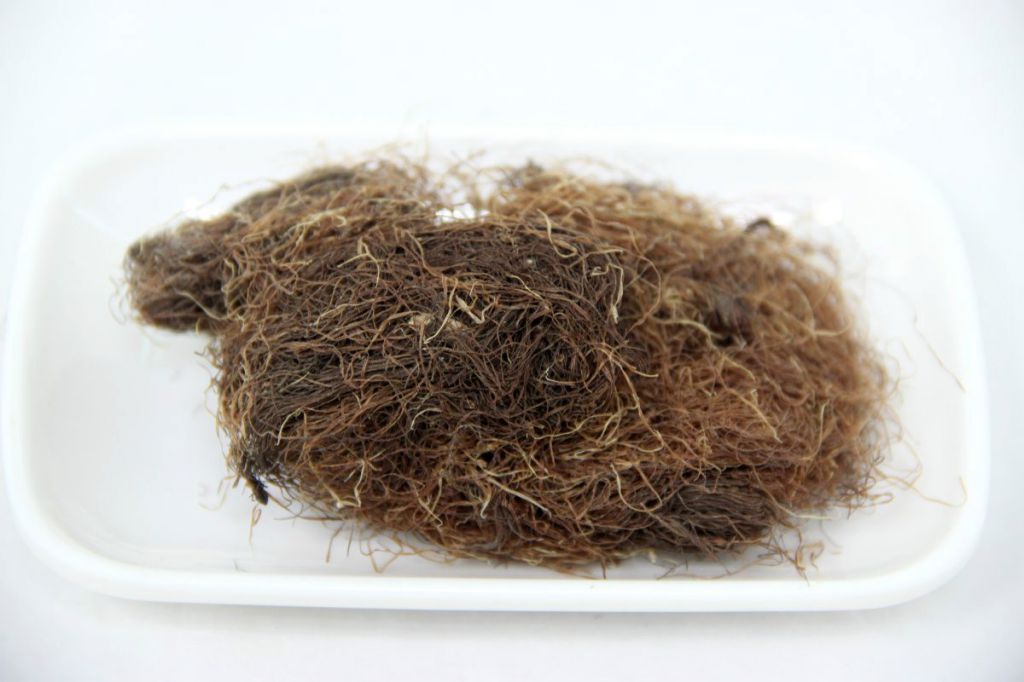 玉米须降血糖效果及煮水喝能否降糖？30 字左右 SEO 标题