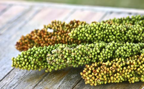 中医养身妙法众多，多食杂粮益身超棒