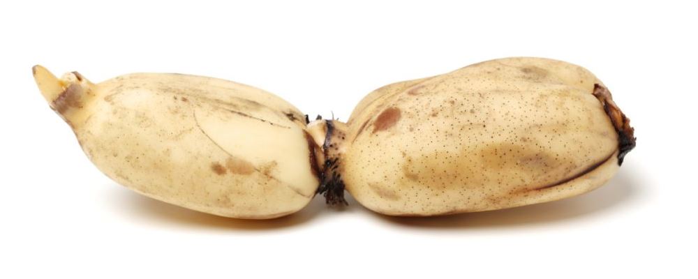 夏季享藕之味，12 莲藕食谱让你爱不释口