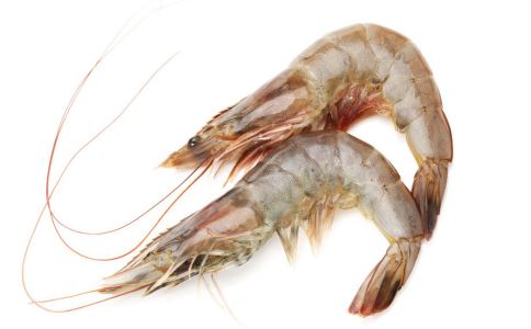 男人肾虚别慌，清蒸虾调理效果超棒！