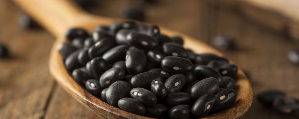 人老体衰易生病，做好老年养生少病灾