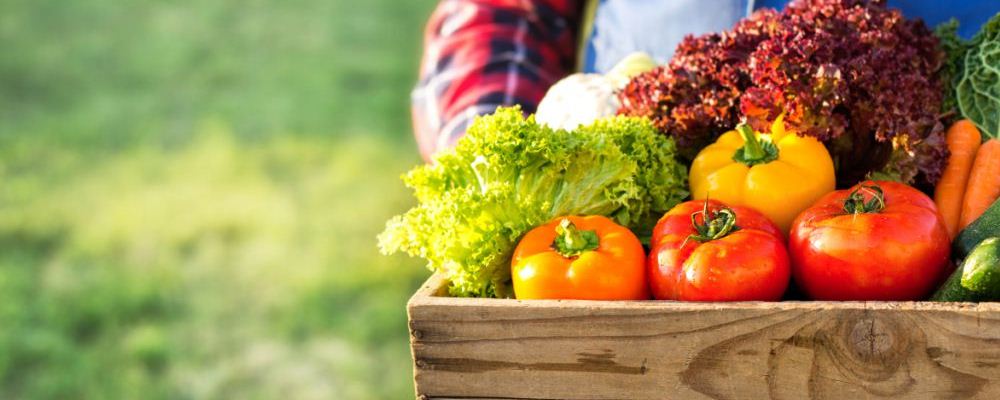 12 种食物补血效果不输红枣，你知道吗？