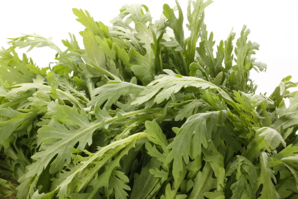 茼蒿菜嘌呤含量及含嘌呤最高的四种蔬菜