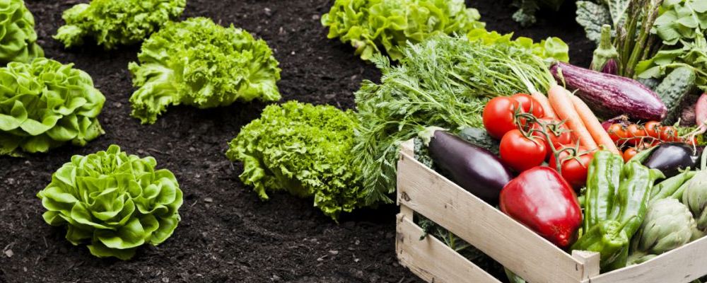 冬季吃红薯益处多，需谨记 3 大注意事项