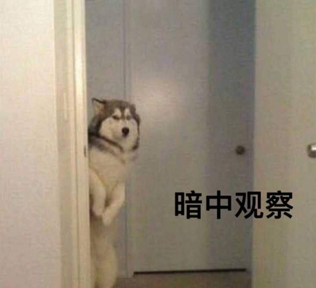 蓝盈莹39码脚争议：综艺笑点该有身体边界吗？