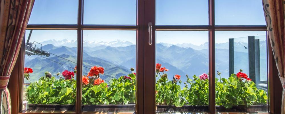 秋季防病养生关键在于先提升免疫力啦