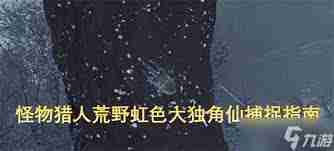 怪物猎人荒野虹色大独角仙在哪里及如何捕获-怪物猎人荒野找到并捕获虹色大独角仙方法