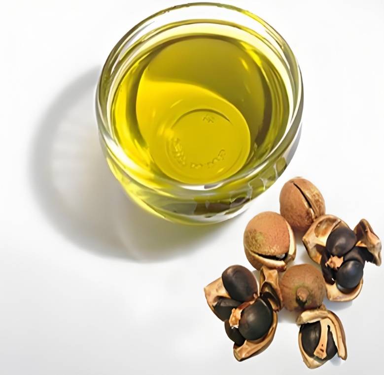 茶叶籽油检测机构推荐，盘点十大茶叶籽油检测机构名单