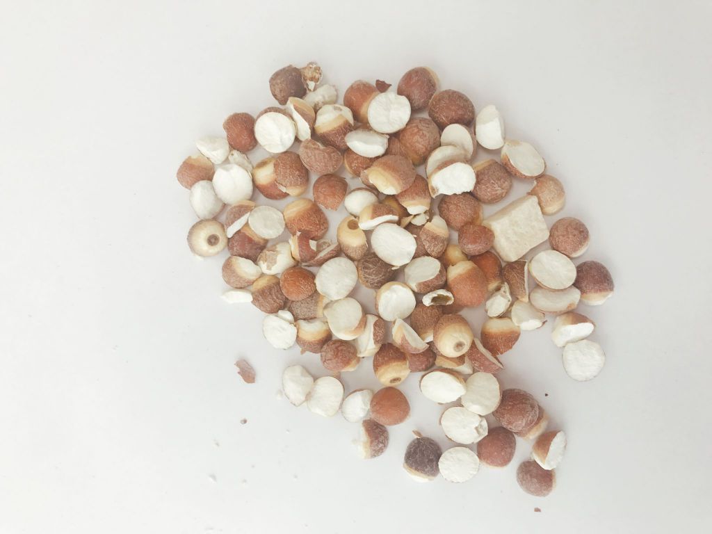 “祛湿名方四神汤及正宗配方（标准版）”