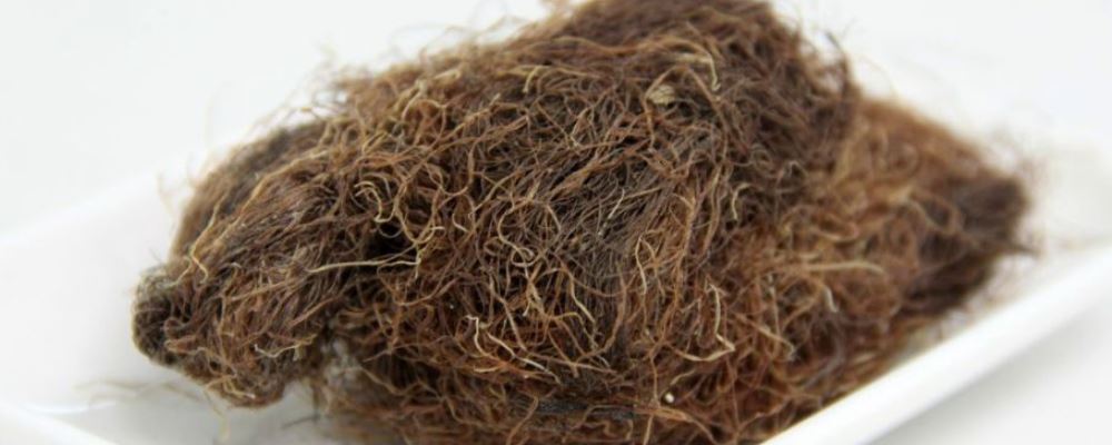 玉米须真能降血糖？其功效及作用大揭秘