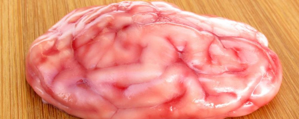 工作繁重压力大？别忘适时补脑提升状态~