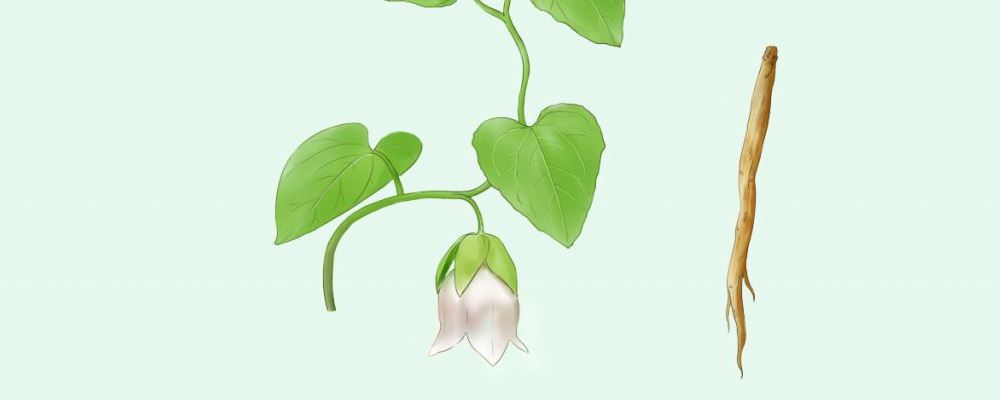 “十全大补汤功效做法推荐，满足你养生需求”