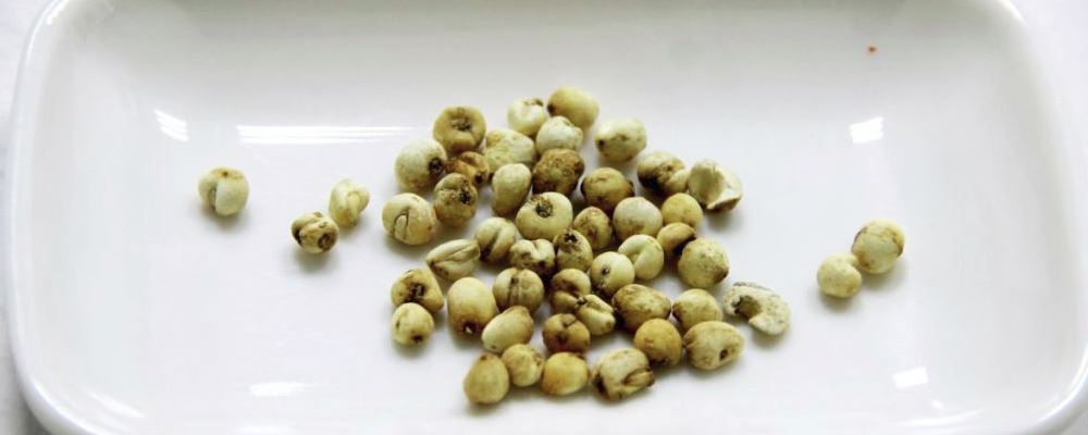 治疗咳嗽的方法 治疗咳嗽偏方 治疗咳嗽吃什么好