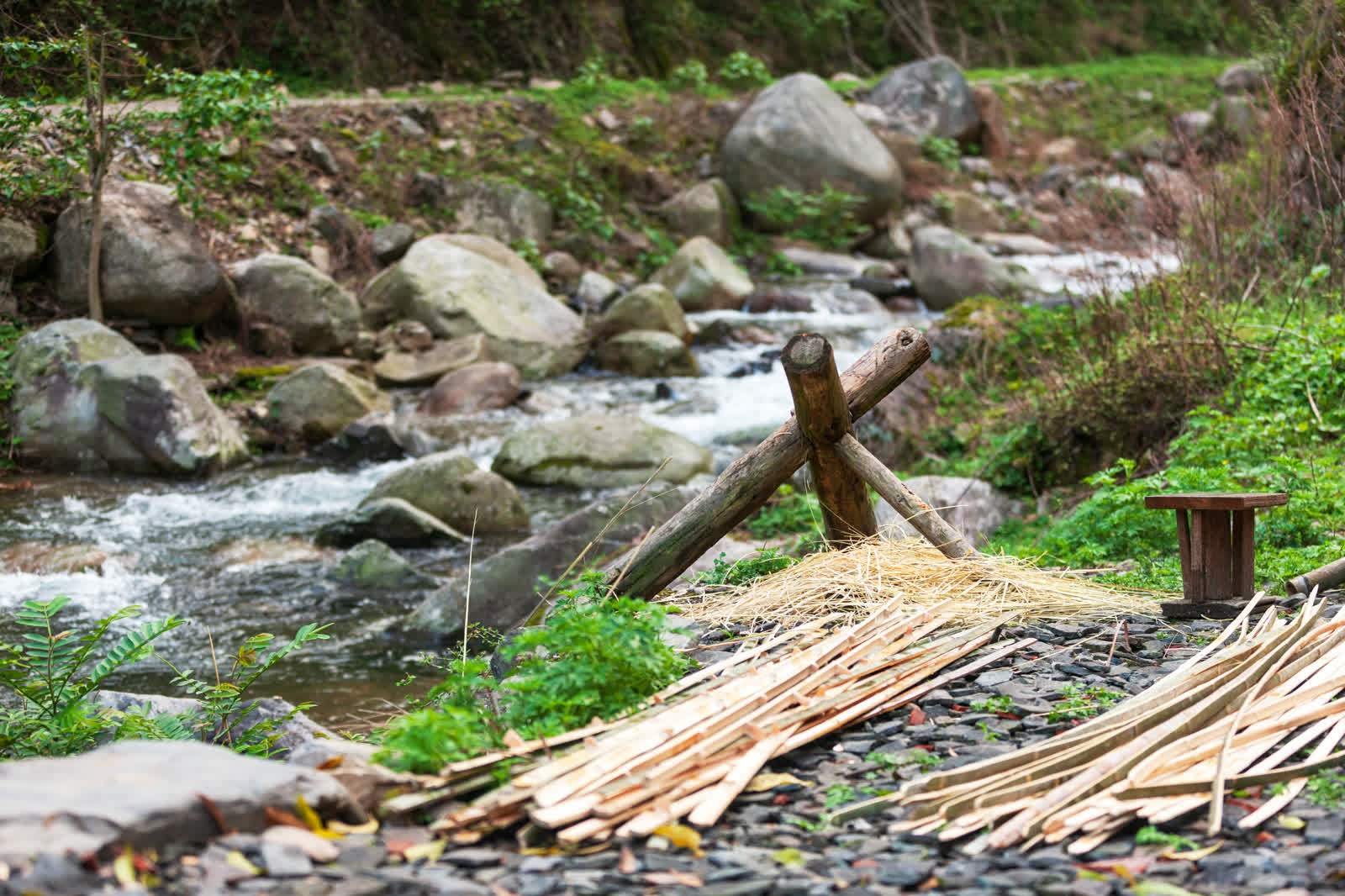 东安：茶山飘香乡村振兴