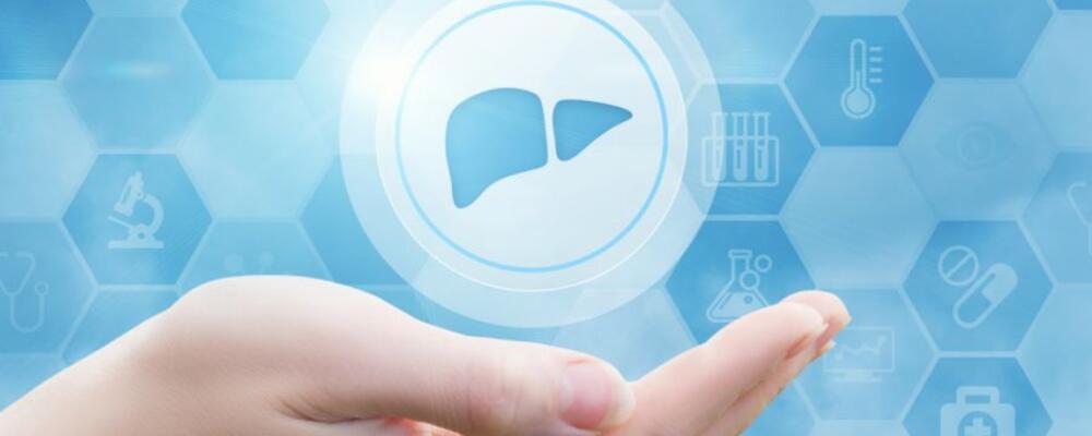 肝好身体健，5 款养肝食疗方推荐，呵护肝脏健康