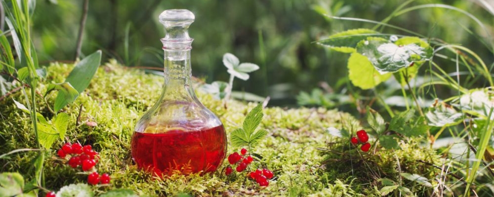 鸡爪梨能否泡酒及泡酒功效，30 字左右 SEO 标题