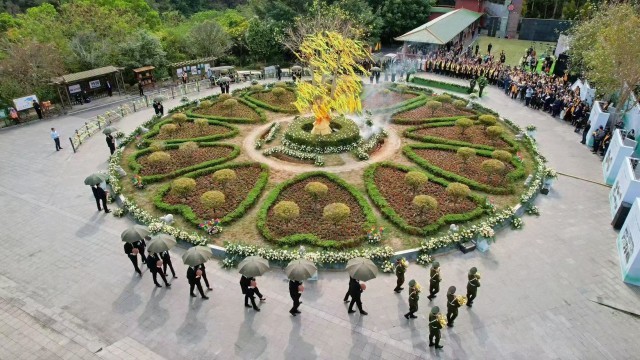 花坛葬、树葬、海葬 广西节地生态安葬渐入民心