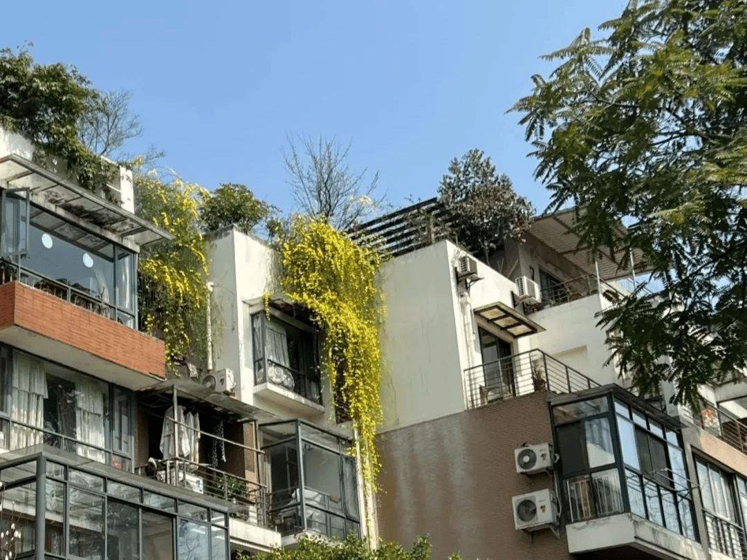 揭秘！二手房成交价跌回8年前，真相令人瞠目结舌！