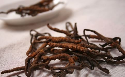 冬虫夏草益精补虚之吃法及效果提升技巧
