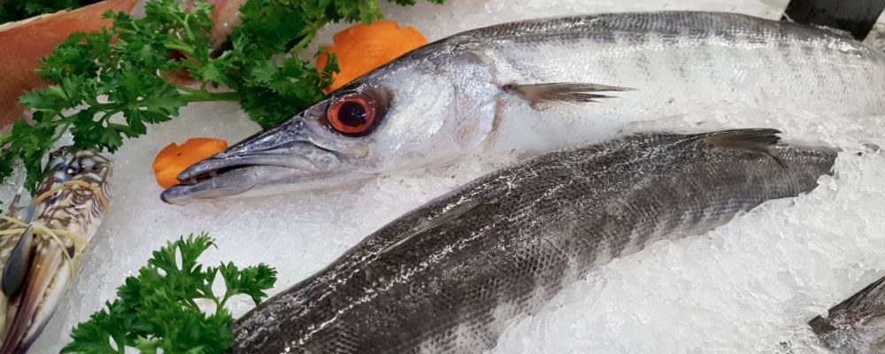 怀孕期饮食重点：增加蛋白质摄入，吃啥好？