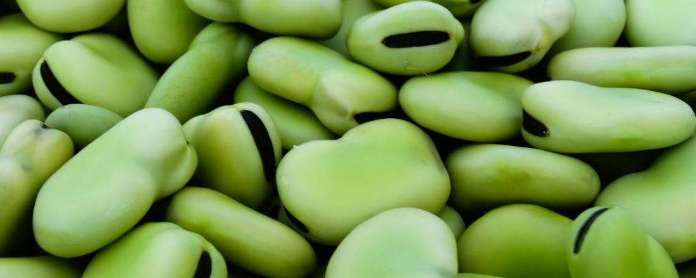 蚕豆食疗功效及相关食谱推荐，值得收藏哦~