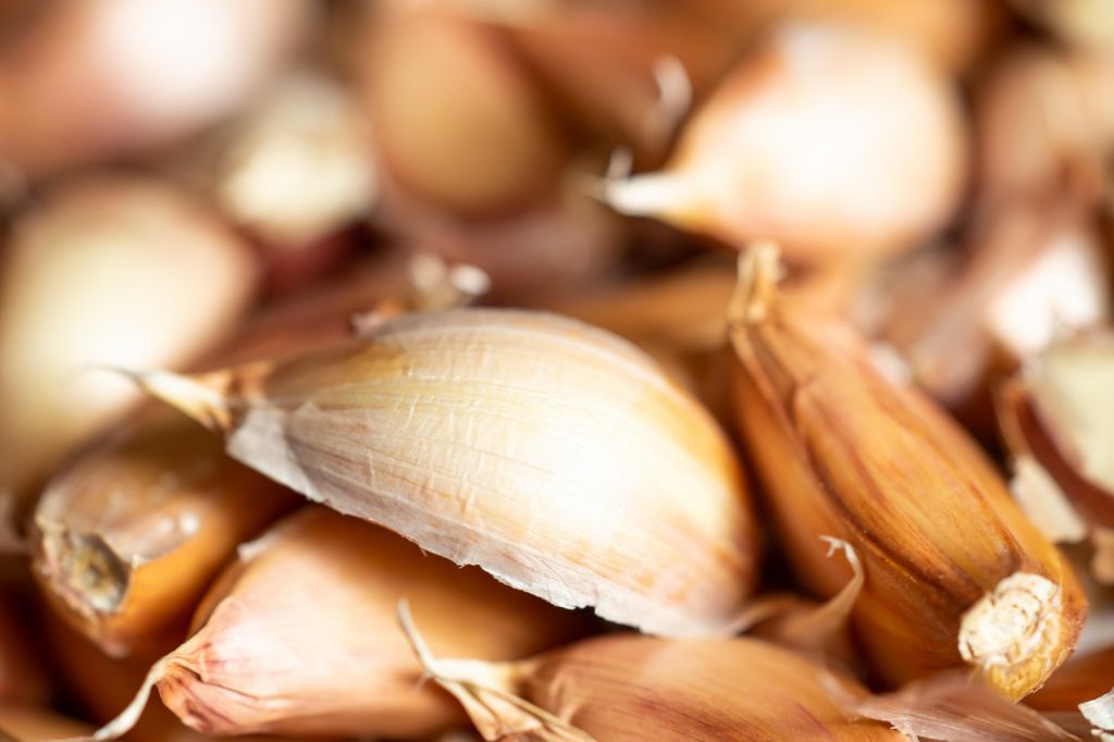 大蒜加一物能双倍降血糖？（非醋）速看！