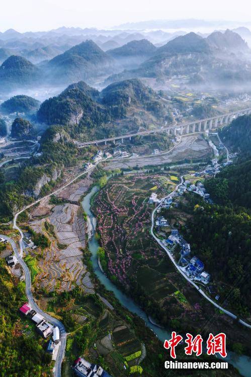 湖北咸丰：云雾绕茶山 桃花映“春采”