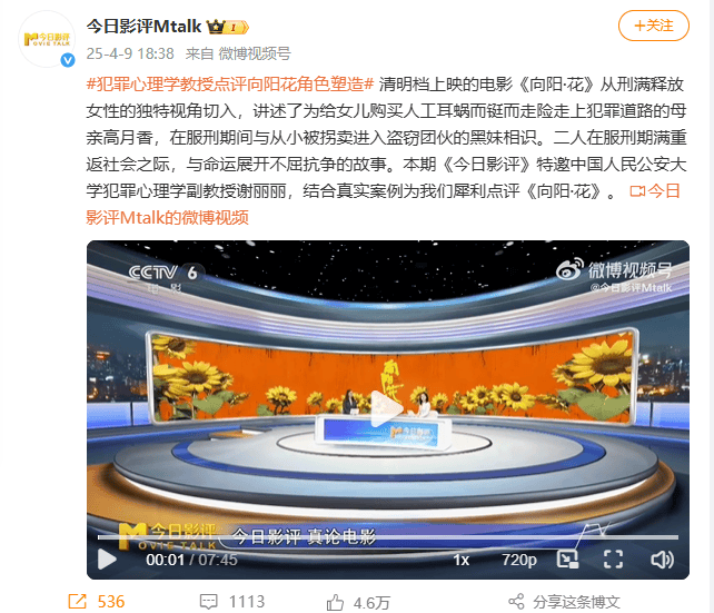 原创            央六辛辣点评《向阳·花》，主要批评的，不是赵丽颖，而是冯小刚