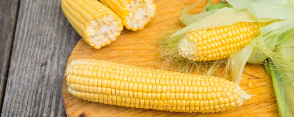 推荐皇家食谱玉米粥，品味传统美食的独特韵味