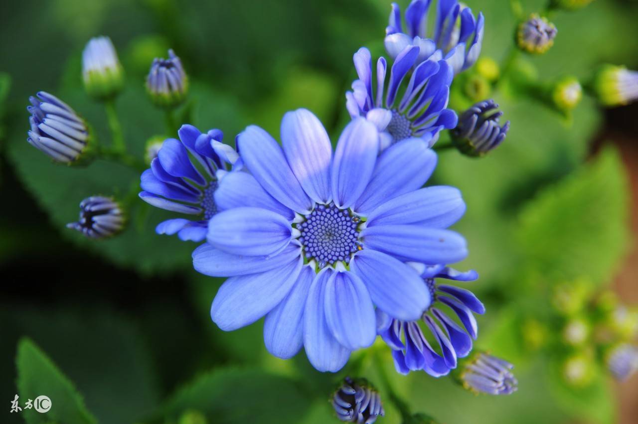 我们的人生不是梦