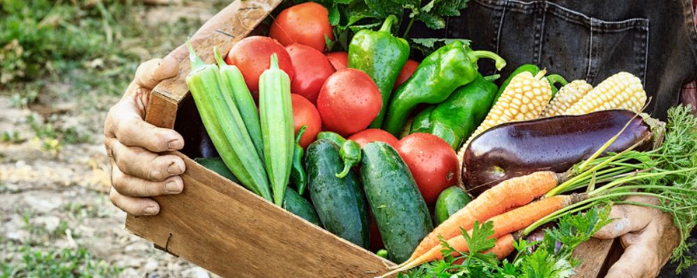 保护大脑需避开这 5 种食物，让你时刻清醒