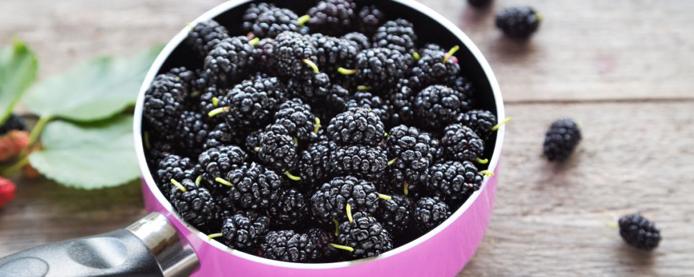 常空腹吃六种食物易招胃病，需警惕小心（30 字左右符合 SEO）