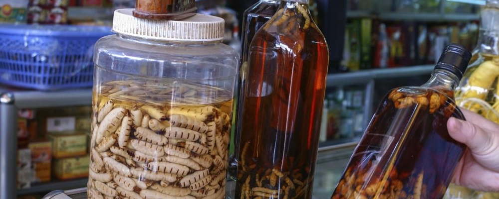 鳖甲泡酒饮用的相关禁忌，你需要了解一下哦~