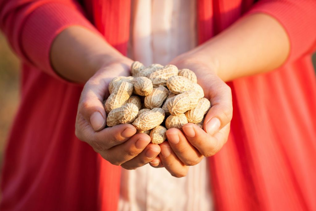 尿酸高可以吃花生吗 尿酸高的人可以吃哪些坚果类食物 尿酸高可以吃坚果吗