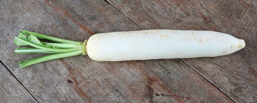 咳嗽未愈？快来试试 5 道萝卜润肺止咳汤推荐