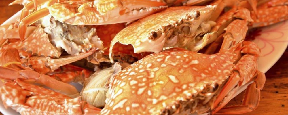 秋季吃螃蟹需注意 3 大禁忌以护肠胃好