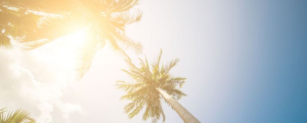 大暑节气至，你懂养生吗？这些常识要牢记