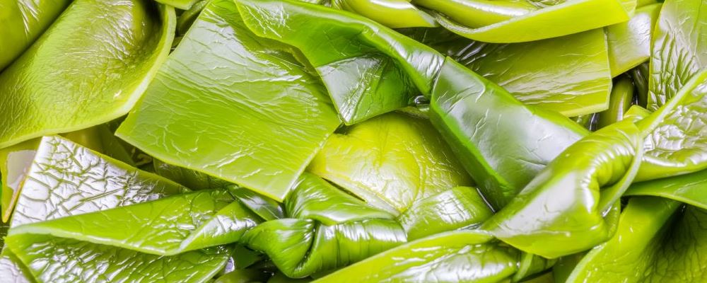 治疗乳腺癌吃啥？海带能辅助治疗乳腺癌哦~